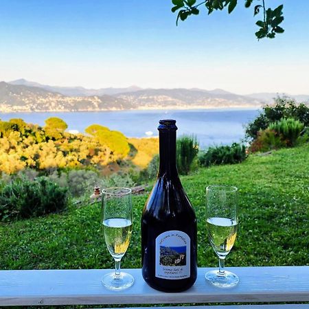 Villa Agriturismo Terre Rosse Portofino Extérieur photo