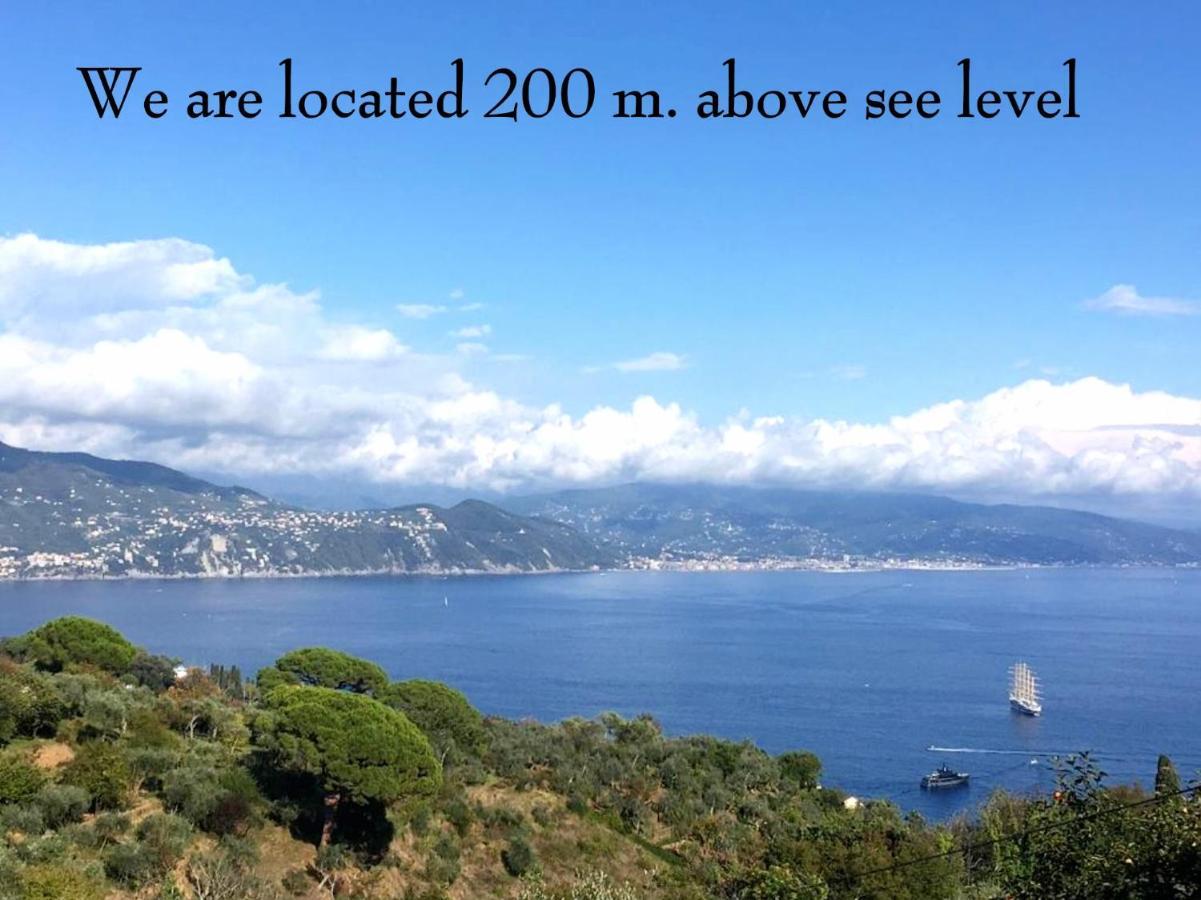 Villa Agriturismo Terre Rosse Portofino Extérieur photo