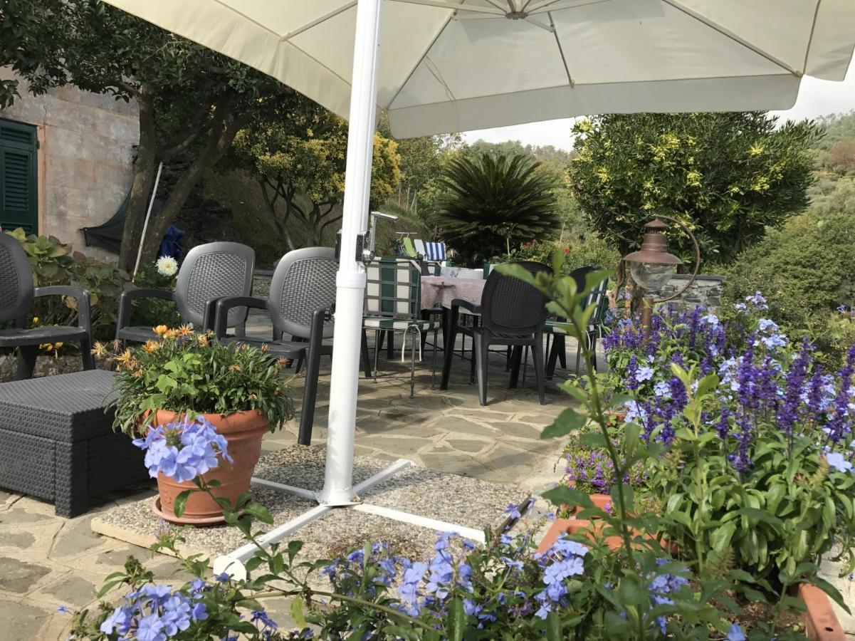 Villa Agriturismo Terre Rosse Portofino Extérieur photo