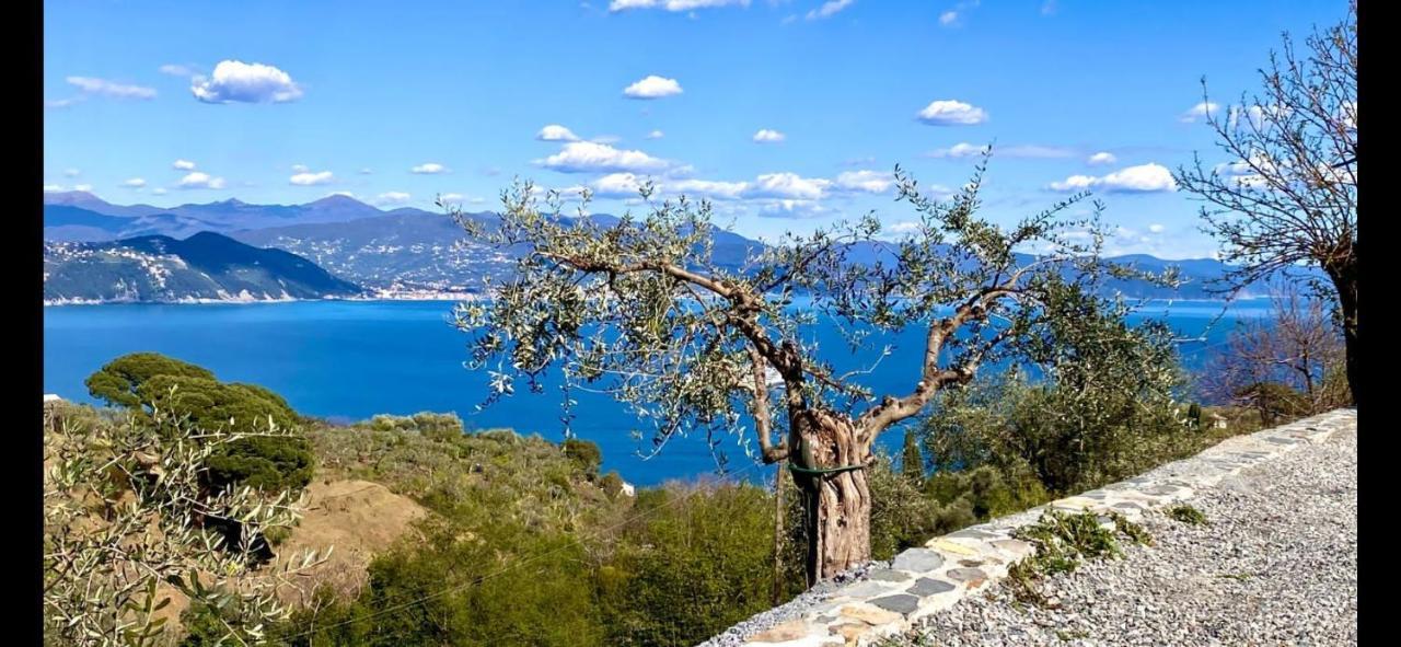 Villa Agriturismo Terre Rosse Portofino Extérieur photo