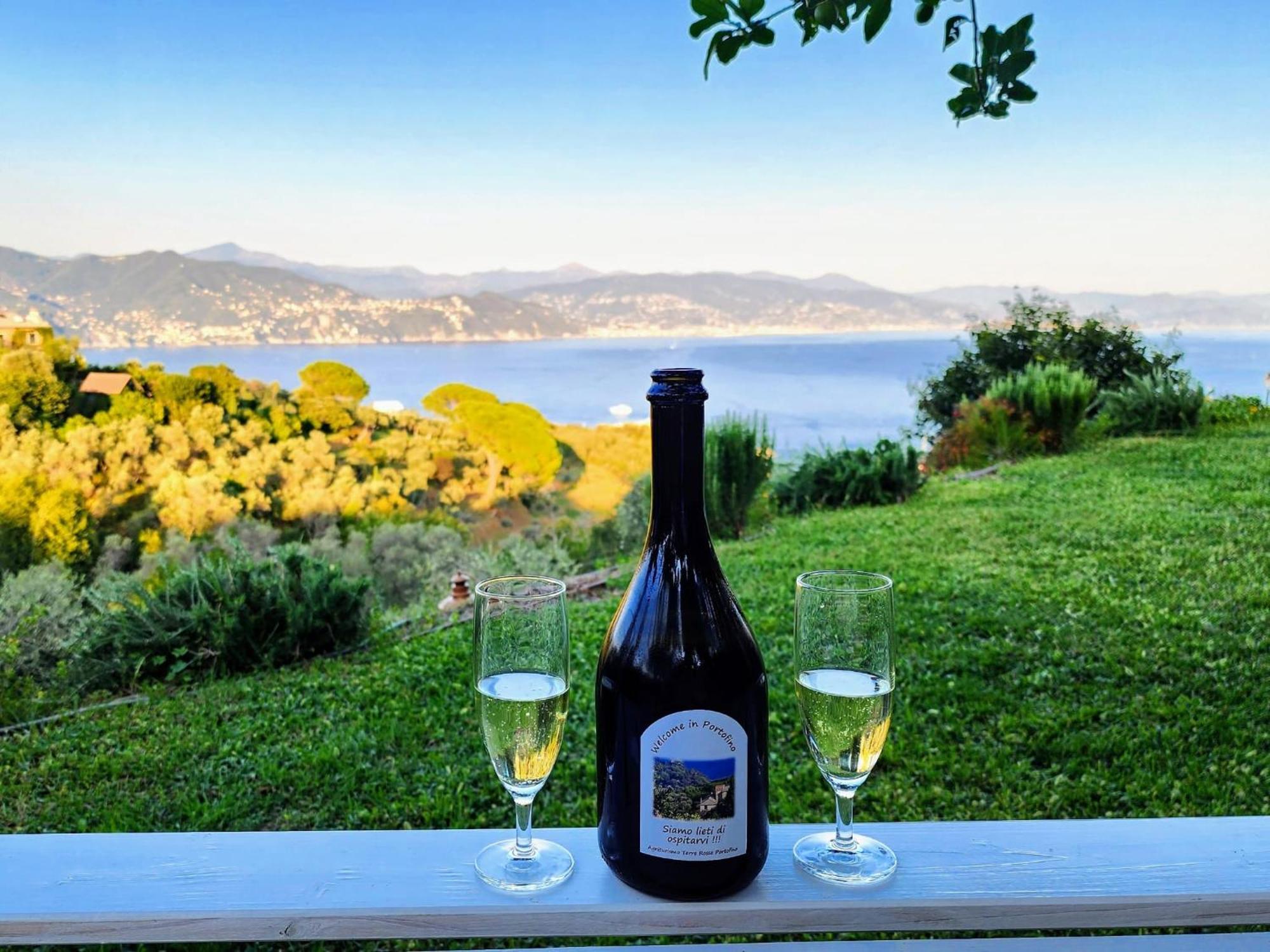 Villa Agriturismo Terre Rosse Portofino Extérieur photo