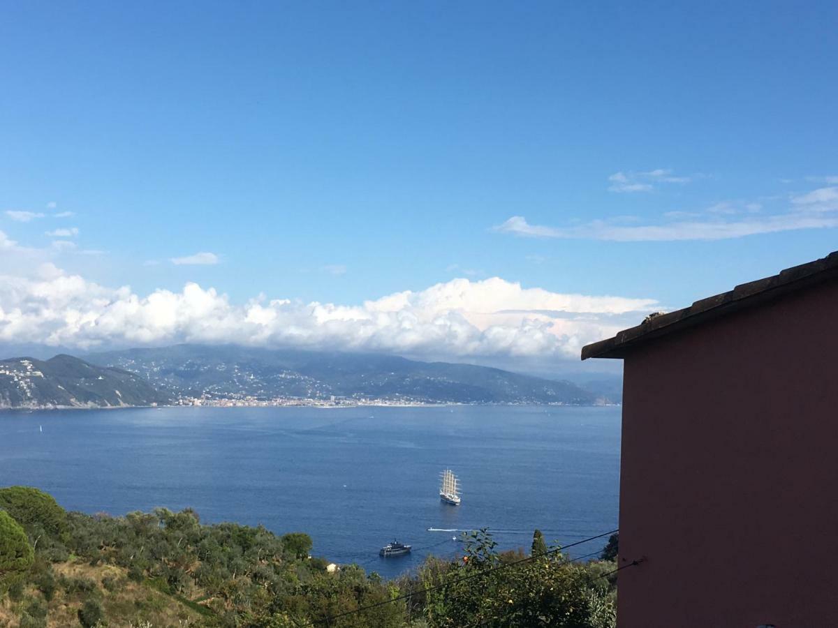 Villa Agriturismo Terre Rosse Portofino Extérieur photo